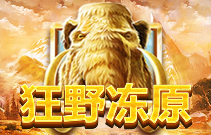 4436x12威尼斯